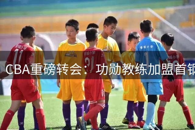 CBA重磅转会：功勋教练加盟首钢重组教练组 江苏北控完成球员互换